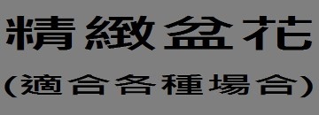 精緻盆花