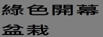 綠色植栽開幕喬遷員林花店