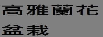高雅蘭花盆栽