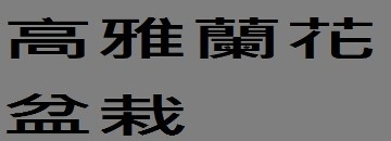 高雅蘭花盆栽︰婚禮會場佈置