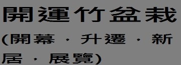 開運竹盆栽_亞豐花藝設計