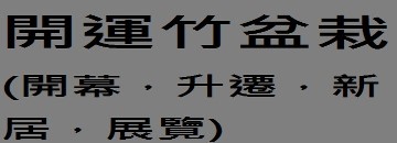 開運竹盆栽︰亞豐花藝設計