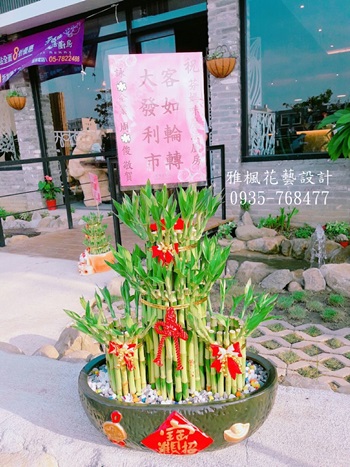 招財進寶_幸運竹開運竹盆栽草屯市區花店祝賀盆栽