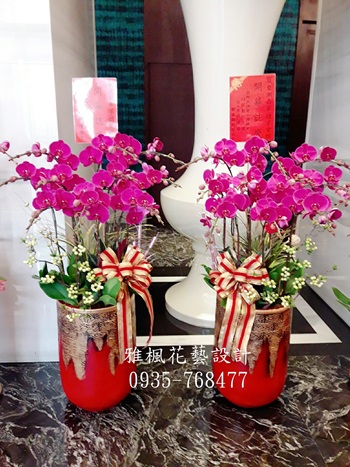 蝴蝶蘭紅色二盆特價10000元起_喜慶祝福員林花店專業外送蘭花盆栽