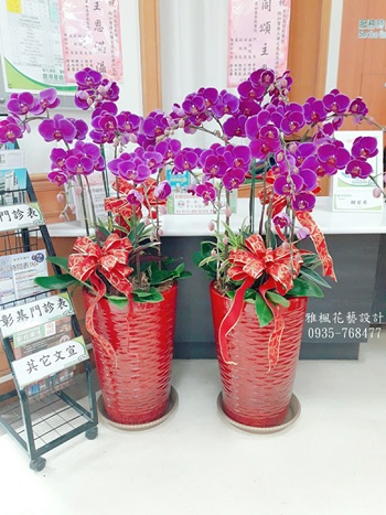 南投縣水里鄉花店，南投縣仁愛鄉花店喜事蝴蝶蘭花盆栽