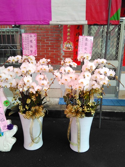 斗六花店，斗南花店，弔慰蘭花盆栽虎尾花店