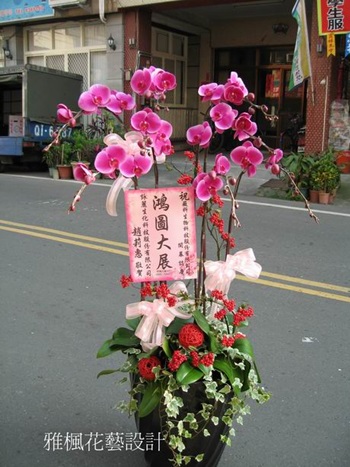 競選總部成立送蘭花推薦芬園鄉花店，伸港鄉花店開店送蘭花推薦，溪湖鎮花店