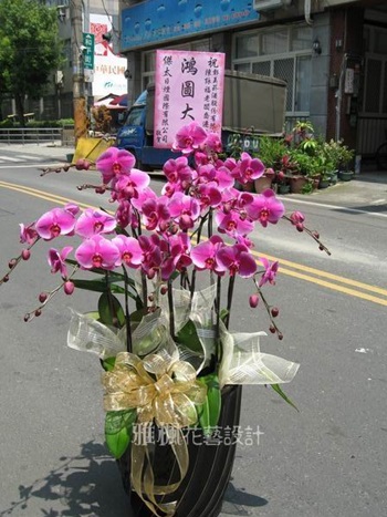 彰化市花店蘭花外送，蝴蝶蘭花免外送費埤頭鄉花店，鹿港鎮花店