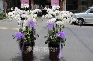 集集鎮花店，送追思蘭花盆栽鹿谷鄉花店喪事蘭花，殯儀館附近花店埔里鎮花店