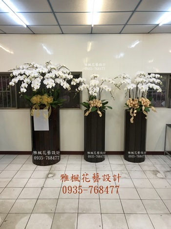 喪事送蘭花推薦0935768477彰化市花店，埔鹽花店公祭蝴蝶蘭花盆栽