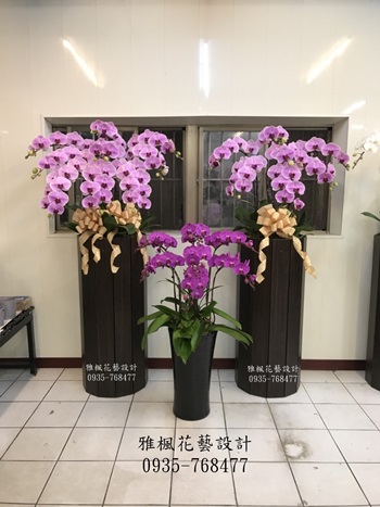 高人一等!!亮眼!!特大型蘭花盆栽彰化花店推薦0935768477雅楓花藝公祭蘭花盆栽外送