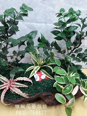 台中神岡區花店新廠落成開幕盆栽_擴大喬遷祝賀花禮台中潭子區花店