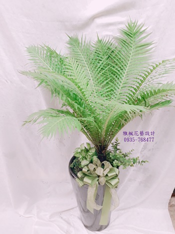 工廠落成盆栽大城鄉花店，田尾鄉花店便宜盆栽外送
