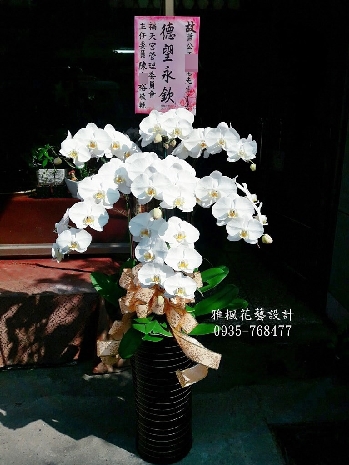 古坑花店，大埤花店，告別式白色蘭花盆栽莿桐花店